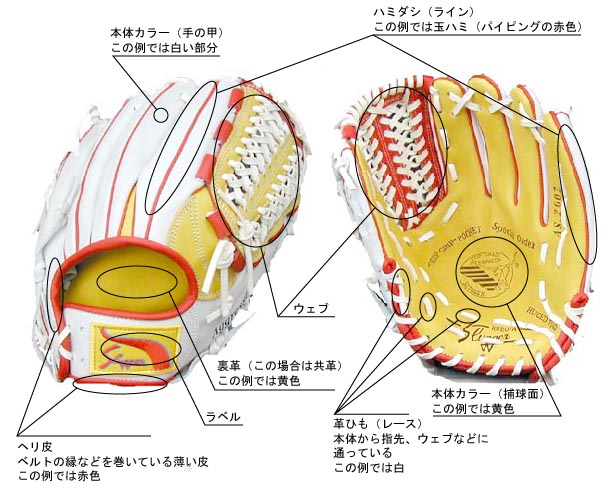 オーダーグローブの基礎知識 – スワロースポーツ