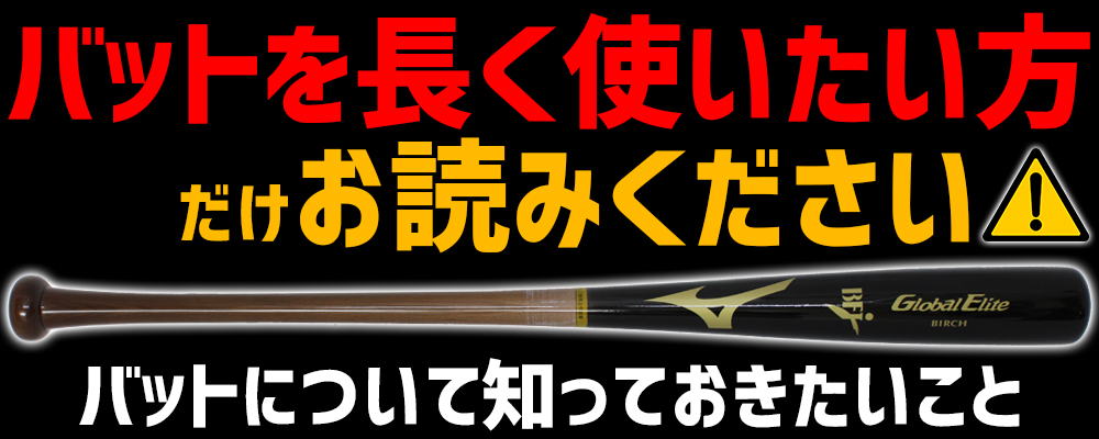 14-3-bat-maintenance.jpg