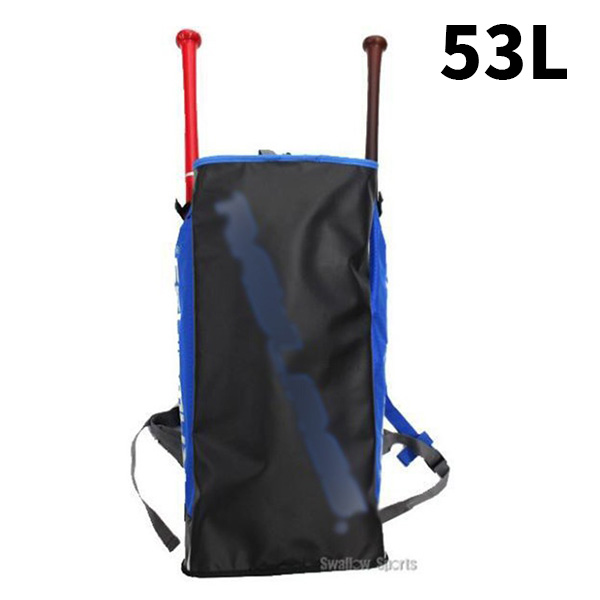53L.jpg
