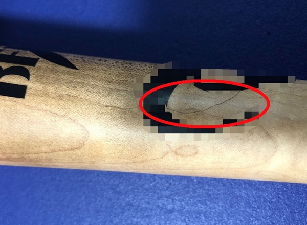 bat.jpg